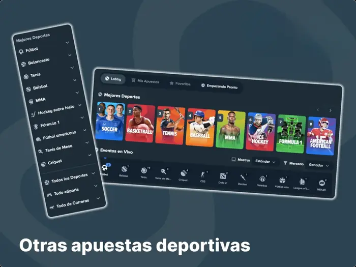 También encontrarás una amplia selección de apuestas de fútbol en el sitio web de la casa de apuestas Stake