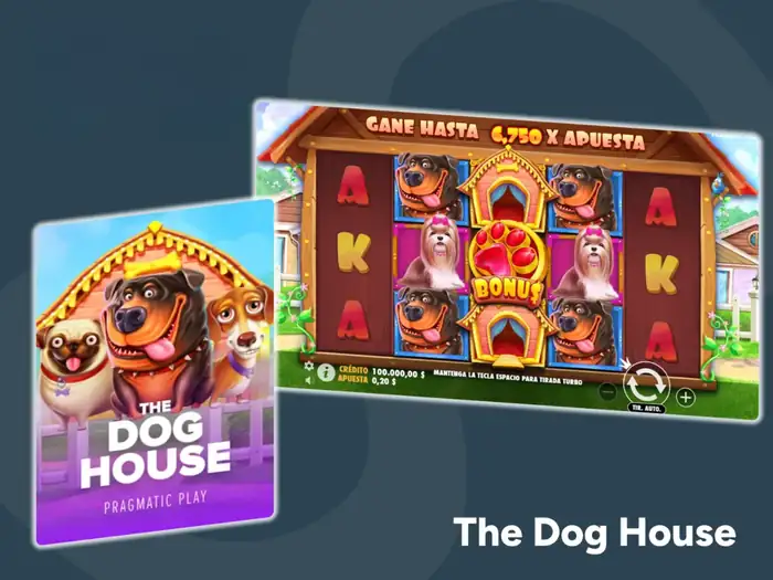 Disfruta de la experiencia de jugar a The Dog House en Stake
